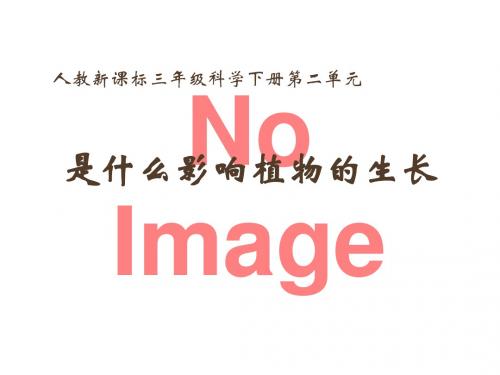 《是什么在影响植物生长》植物的生长优选公开课精品PPT