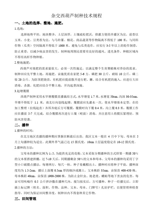 西葫芦采种技术