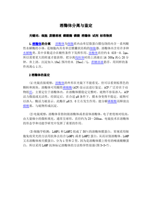 溶酶体分离与鉴定