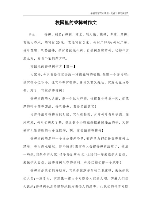 校园里的香樟树作文