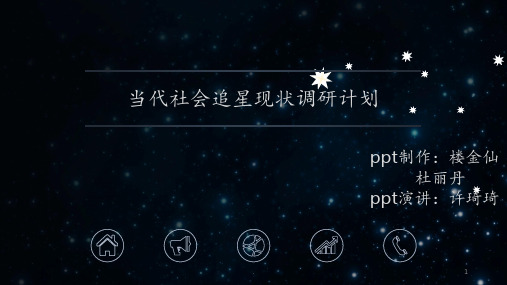 当代社会追星现状调查PPT课件