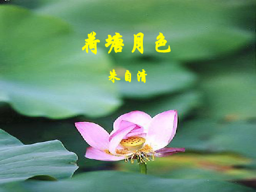 荷塘月色