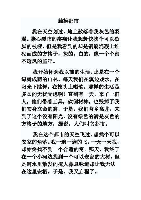 触摸都市