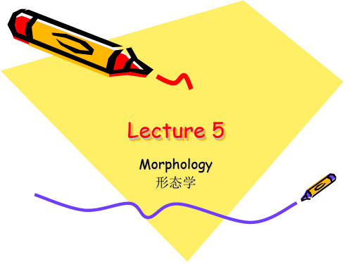 morphology