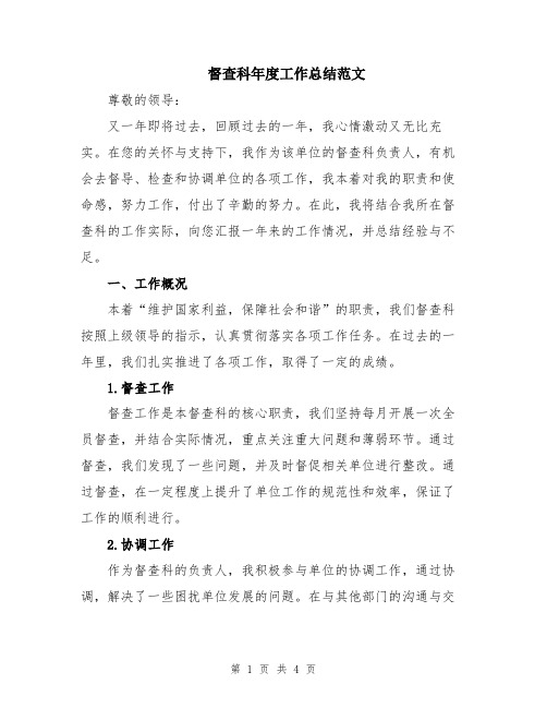 督查科年度工作总结范文