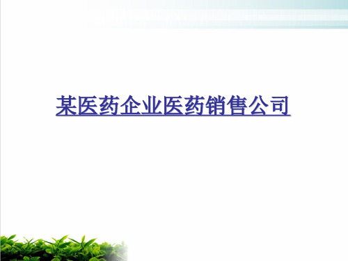 医药企业医药销售公司年度培训计划书(ppt 77页)