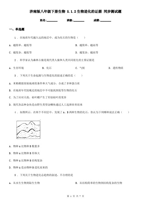 济南版八年级下册生物 5.1.2生物进化的证据 同步测试题