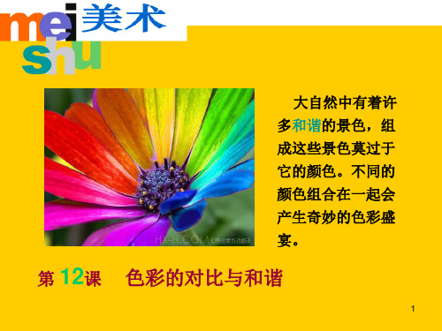 色彩的对比与和谐ppt课件
