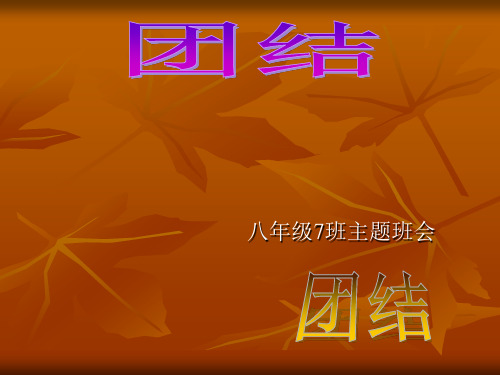 关于《团结》主题班会PPT