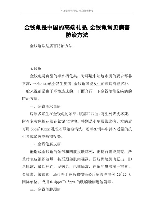 金钱龟是中国的高端礼品,金钱龟常见病害防治方法