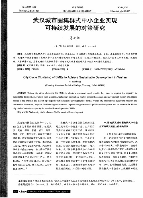 武汉城市圈集群式中小企业实现可持续发展的对策研究