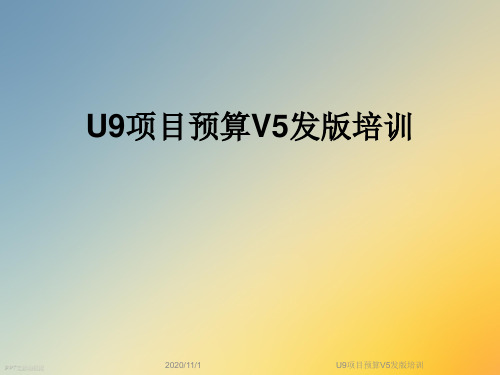 U9项目预算V5发版培训
