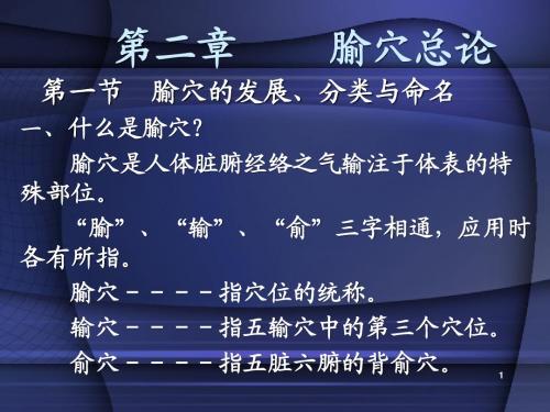 腧穴总论