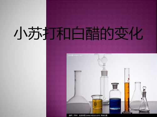 六年级下- 小苏打和 白醋的变化教科版ppt完美课件( 8张ppt)