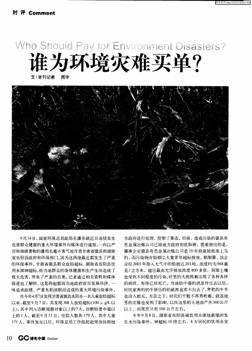 谁为环境灾难买单？