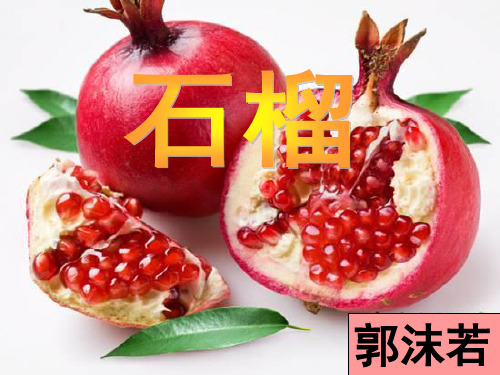 《石榴》ppt课件(37页)