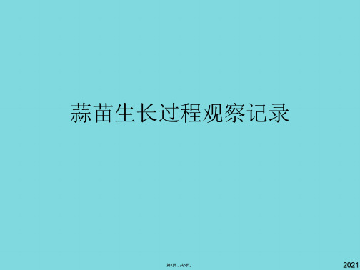 蒜苗生长过程观察记录(共5张PPT)