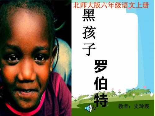《黑孩子罗伯特》PPT课件3