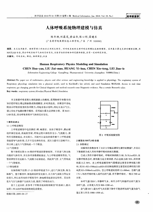 人体呼吸系统物理建模与仿真