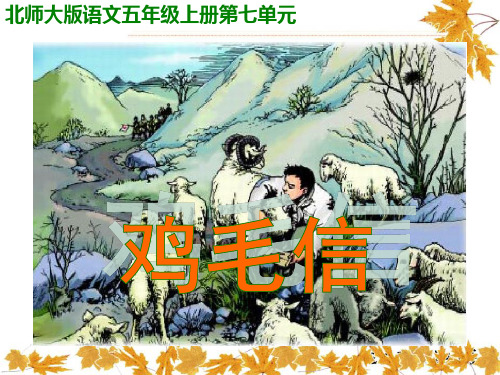 北师大版小学语文五年级上册《鸡毛信》课件