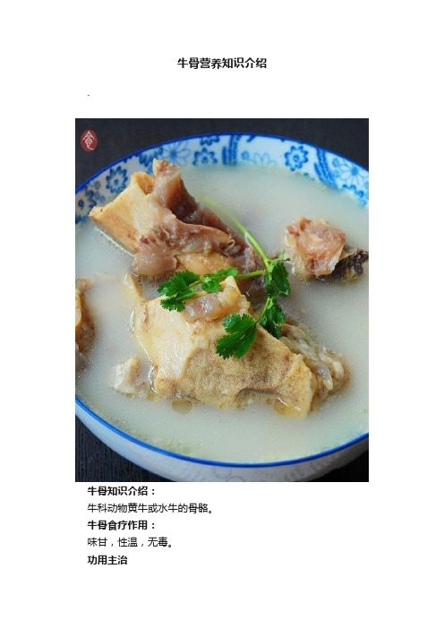 牛骨营养知识介绍