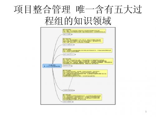 项目整合管理教材(PPT 55页)