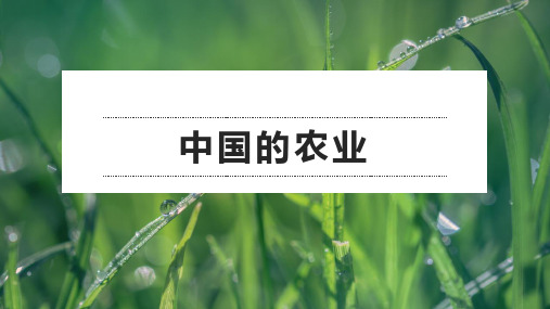 2021年高考地理一轮复习区域地理：中国的农业(课件)