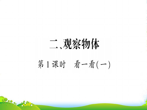 北师大版一年级下册数学习题课件-2、 观察物体第 1 课时  看一看(一)
