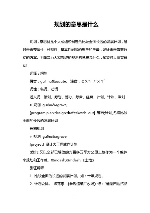 规划的意思是什么