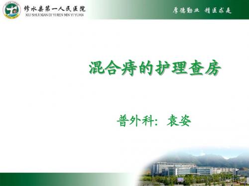 混合痔护理查房PPT课件