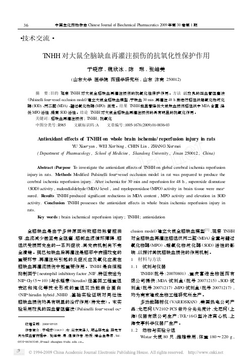 TNHH对大鼠全脑缺血再灌注损伤的抗氧化性保护作用