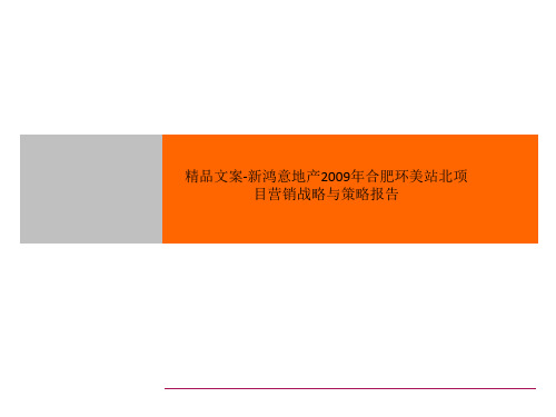 精品文案-新鸿意地产2009年合肥环美站北项目营销战略与策略报告