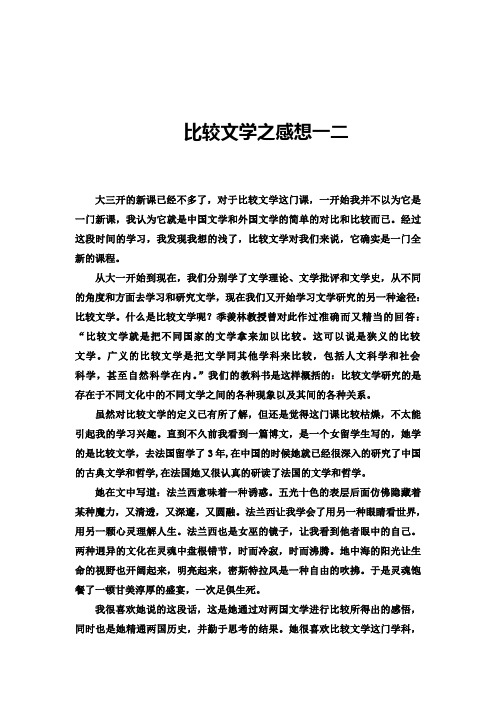 比较文学之感想一二