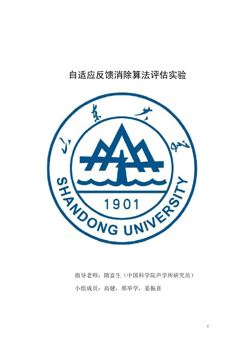 自适应反馈消除算法评估实验