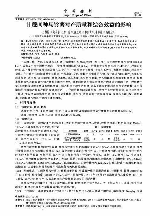 甘蔗间种马铃薯对产质量和综合效益的影响
