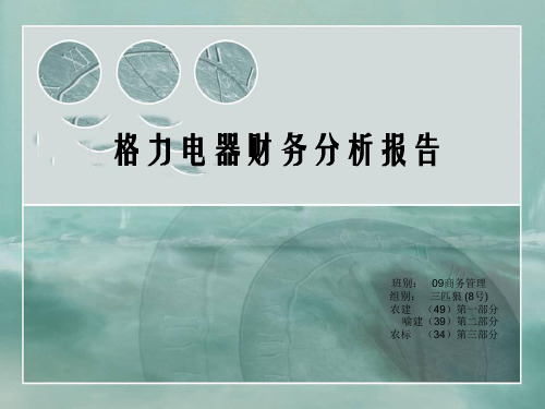 格力电器的财务分析报告 财务分析