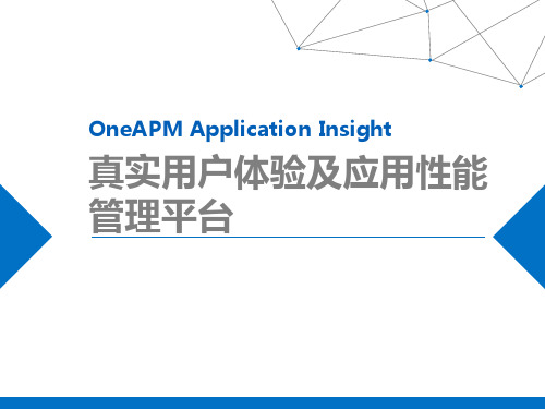 应用性能管理平台OneAPMApplicationInsightV12精品PPT课件