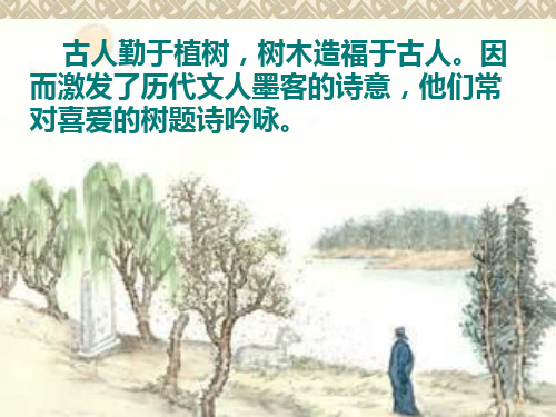 种树郭橐驼传   优质课公开课一等奖
