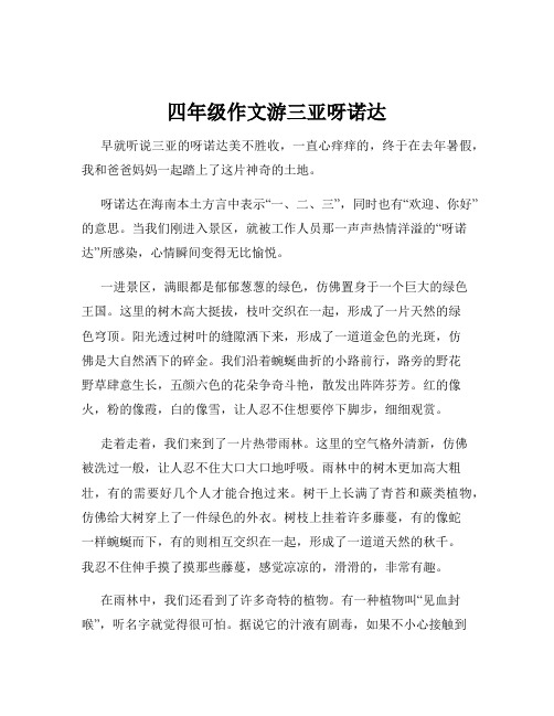 四年级作文游三亚呀诺达