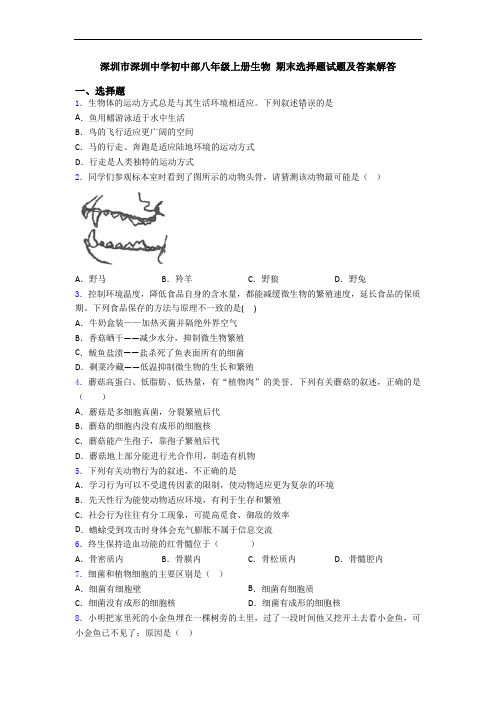 深圳市深圳中学初中部八年级上册生物 期末选择题试题及答案解答