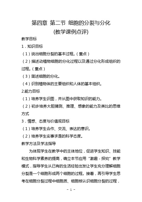 优质教学课例点评细胞的分裂与分化