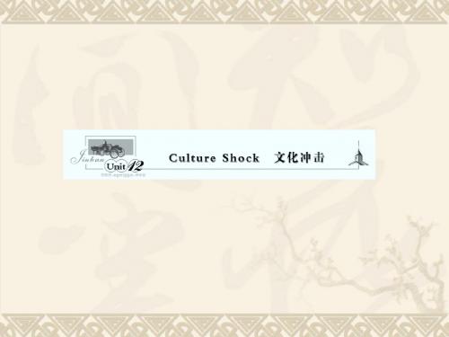 2011届安徽省高考英语一轮复习精品资料Unit 12 Culture Shock 文化冲击