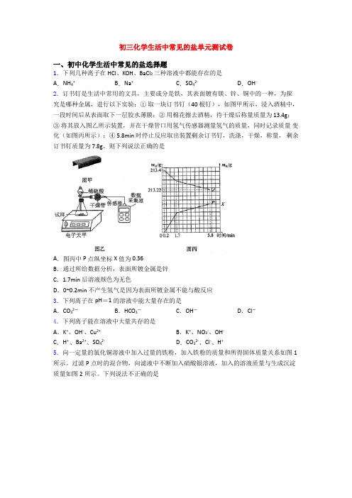 初三化学生活中常见的盐单元测试卷