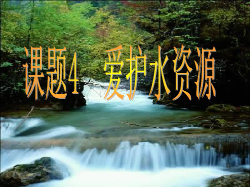 课题4  爱护水资源