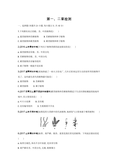 人教版七年级上生物 第三单元第一、二章检测( 含答案解析)