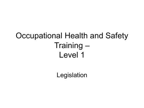 Occupational Health and Safety Training – Level 1