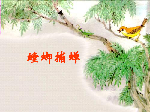 北师大版语文第十一册《螳螂捕蝉》PPT课件3   大赛获奖精美课件PPT