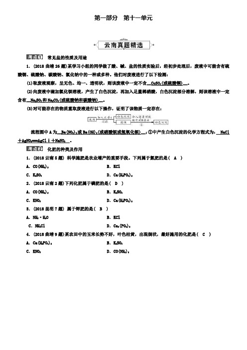 新人教版中考化学九下第11单元盐化肥真题精选