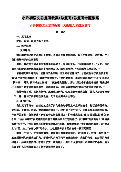 小升初语文总复习教案+总复习+总复习专题教案