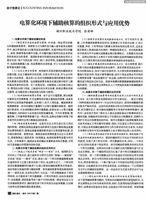 电算化环境下辅助核算的组织形式与应用优势